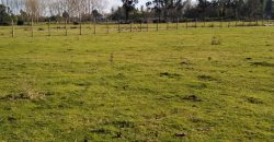 Parcelas en Metrenco (12 disponibles)