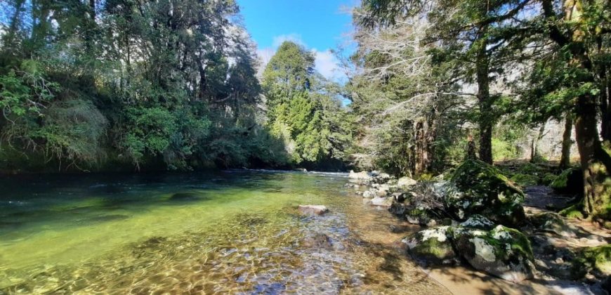 Parcelas Urbanizadas en Caburgua