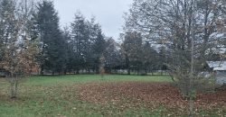 Parcela en Coipue
