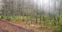 Parcelas en Caburgua