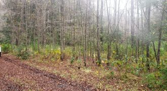 Parcelas en Caburgua