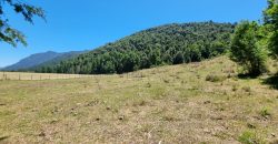 Parcelas en Caburgua