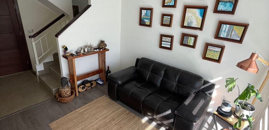 Casa Barrio Frances