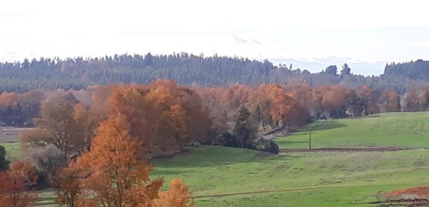 Parcela Altos de Pumalal