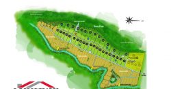 Parcelas Urbanizadas en Caburgua