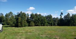 Parcelas Urbanizadas en Gorbea