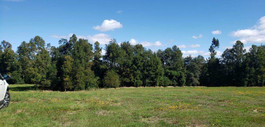 Parcelas Urbanizadas en Gorbea