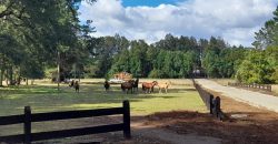 Parcelas en Villarrica