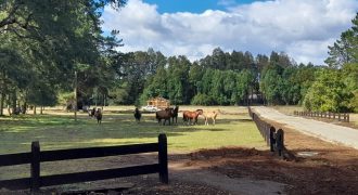 Parcelas en Villarrica