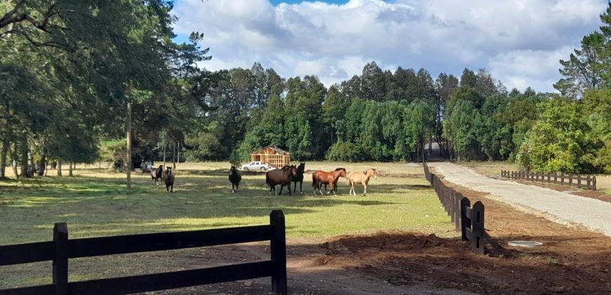 Parcelas en Villarrica