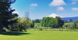 Parcelas en Villarrica