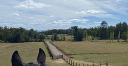 Parcelas en Villarrica