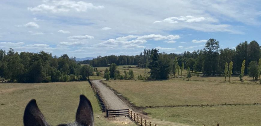 Parcelas en Villarrica