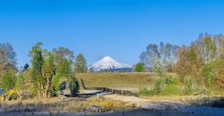 Parcelas en Villarrica