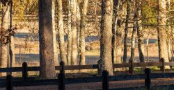 Parcelas en Villarrica