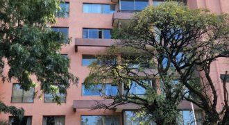 AMPLIO DEPARTAMENTO EDIFICIO LOS COLONOS