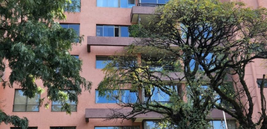 AMPLIO DEPARTAMENTO EDIFICIO LOS COLONOS