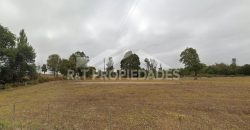 Campo en Teodoro Schmidt