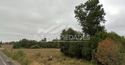 Campo en Teodoro Schmidt