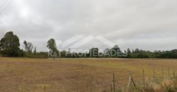 Campo en Teodoro Schmidt