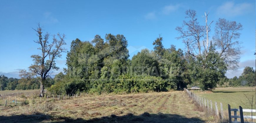 Parcelas en Curacautín