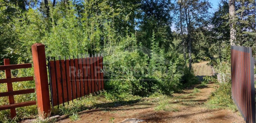 Parcelas en Curacautín