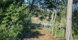 Parcelas en Curacautín