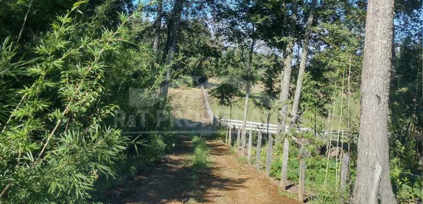 Parcelas en Curacautín