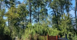 Parcelas en Curacautín