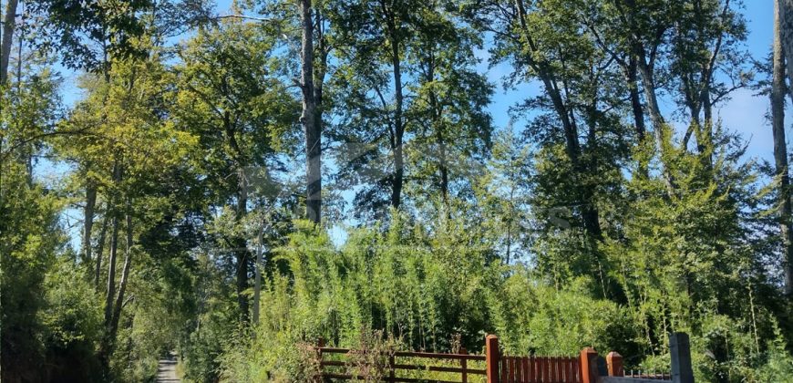 Parcelas en Curacautín