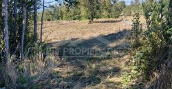 Parcelas en Curacautín