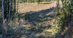 Parcelas en Curacautín