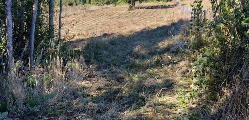 Parcelas en Curacautín