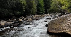 Parcela en Cunco