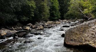 Parcela en Cunco