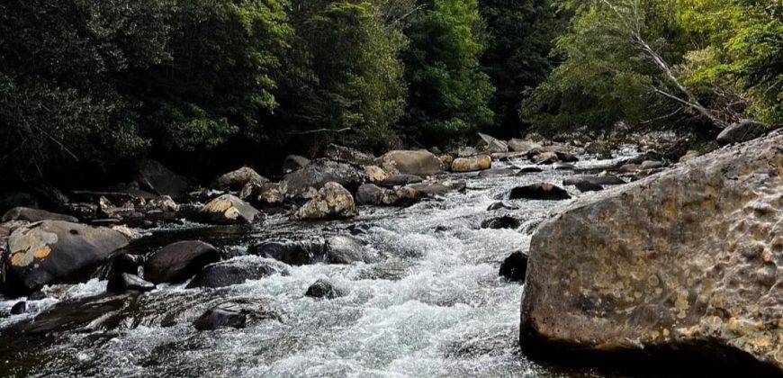 Parcela en Cunco