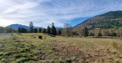 Parcela Sector 3 Saltos Huepil