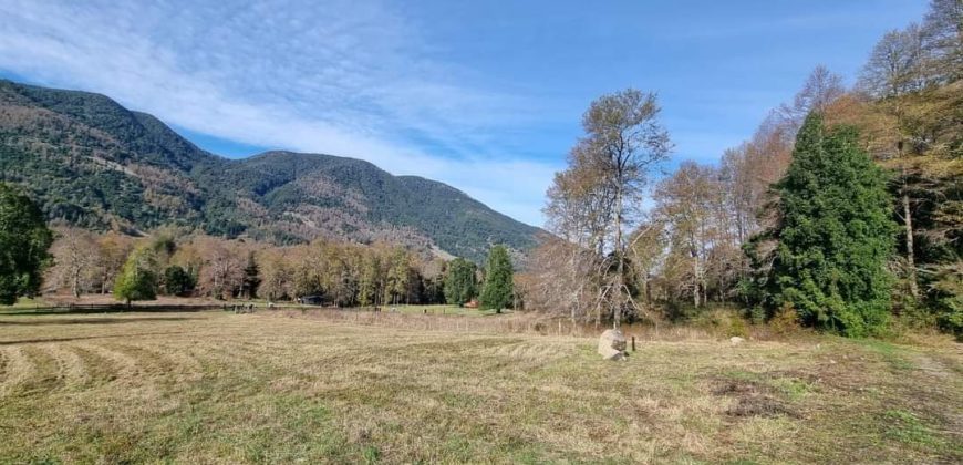 Parcela Sector 3 Saltos Huepil