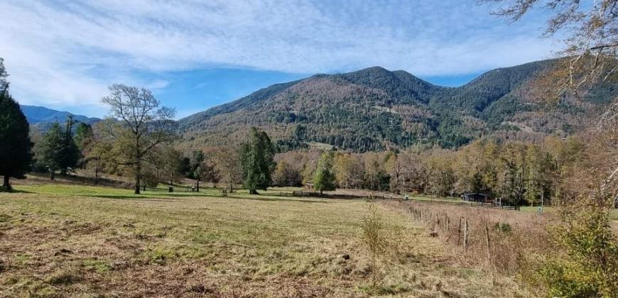 Parcela Sector 3 Saltos Huepil