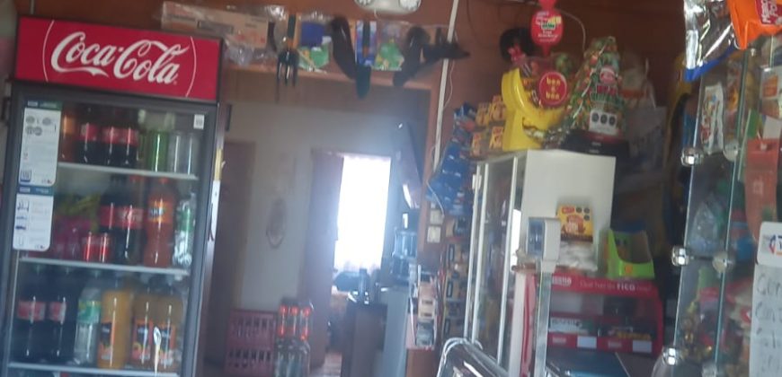 Parcela Curacautín