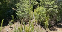 Terreno Corralco