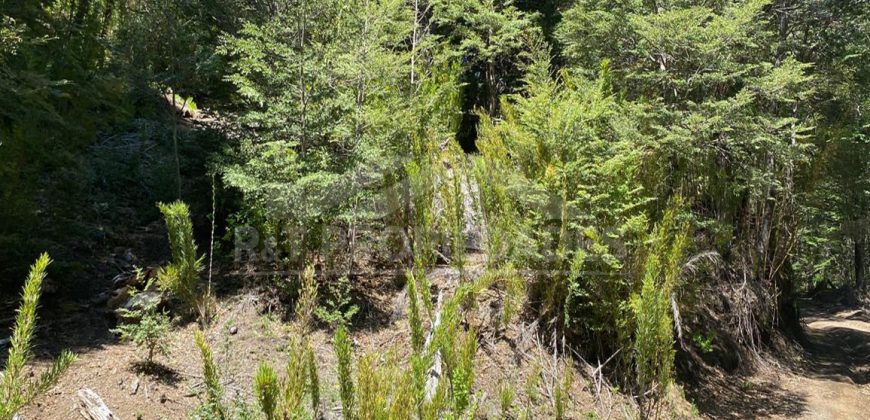 Terreno Corralco