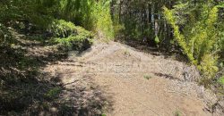 Terreno Corralco
