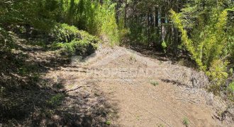 Terreno Corralco