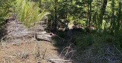 Terreno Corralco