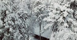 Terreno Corralco