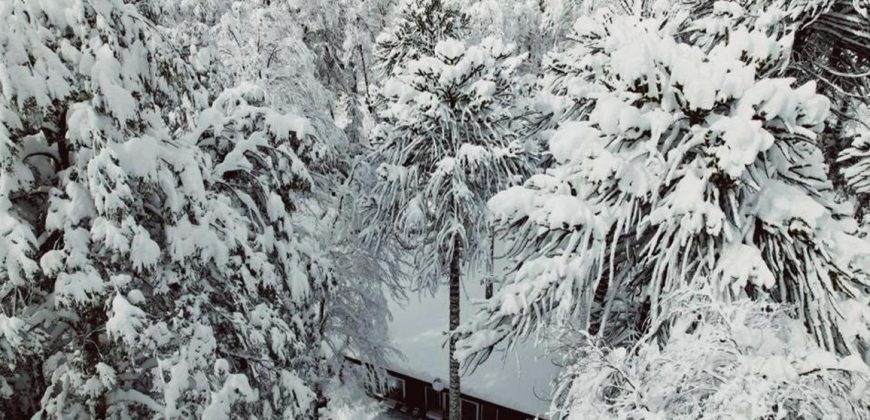 Terreno Corralco