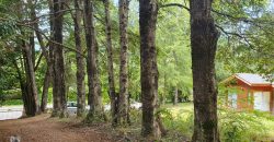 Hermosa Casa Lago Caburgua