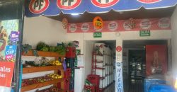 Propiedad en Conchalí