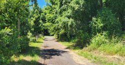 Se Vende Terreno en Pucón